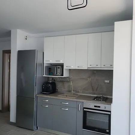 Apartment Apartamentele Delton Alezzi